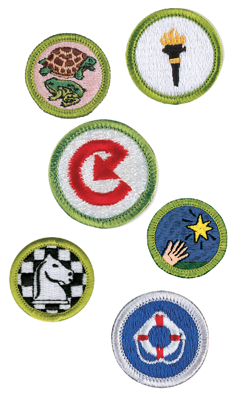 Image with 6 merit badges of various sizes scattered around.
