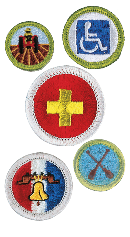 Image with 5 merit badges of various sizes scattered around.