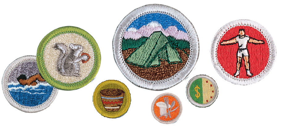 Image with 7 merit badges of various sizes scattered around.