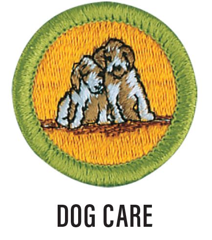 Image of the Dog Care merit badge. The badge is orange with a green border with a pair of dogs in the middle