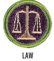 Image of the Law merit badge. The badge is purple with a green border and the Scales of Justice in the middle