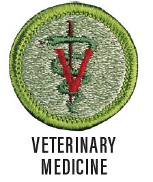 Image of the Veterinary Medicine merit badge. The badge is light green with a green border and the symbol for veterinary medicine.