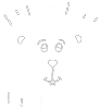 White image of a bear surrounded by the text, "Brown Bear Painting"